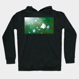 Flowers in the early morning Hoodie